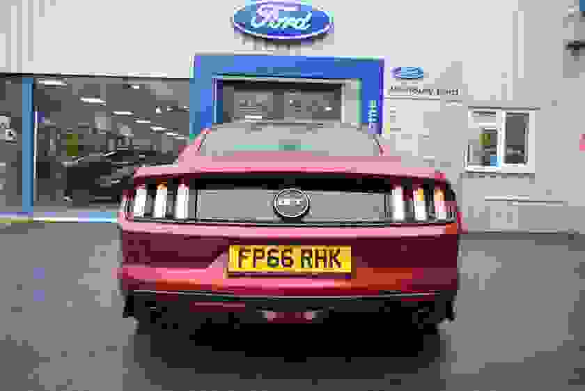 Ford Mustang Photo at-cb68cef9650a4724a1e5d7ff4e3086e6.jpg