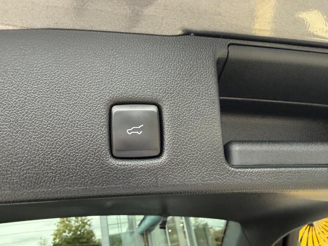 Used Ford Kuga LS24XSG 21