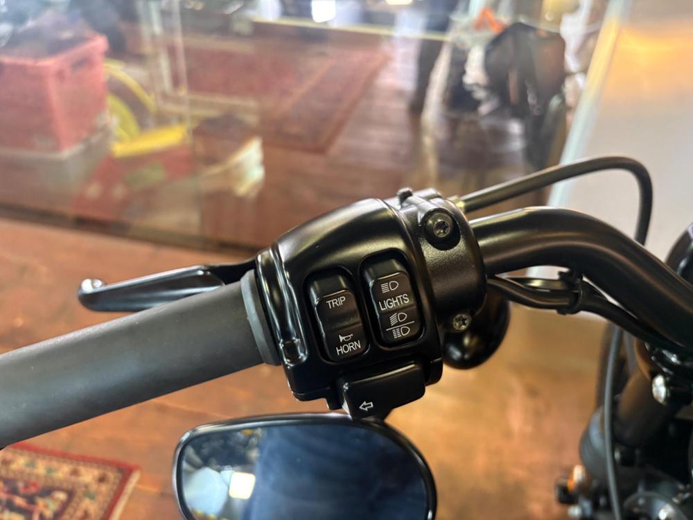 Harley-Davidson Sportster Photo at-eb2afd5f23104a4d86537d1615637401.jpg