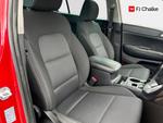 Kia Sportage Photo 12