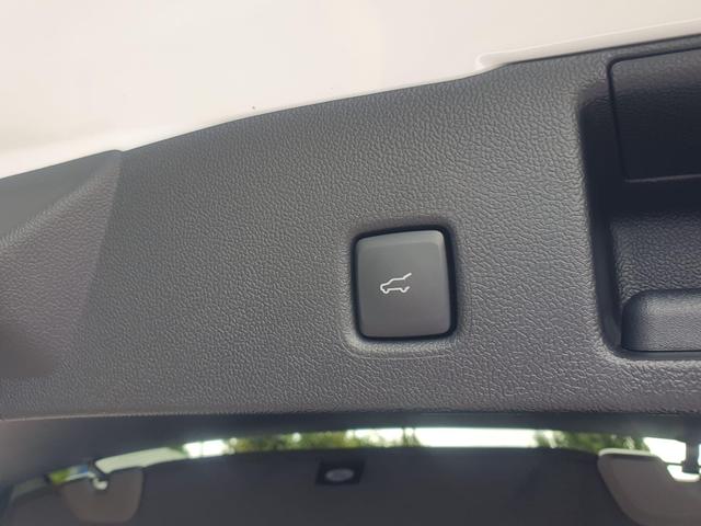 Used Ford Kuga EN25ZDY 34