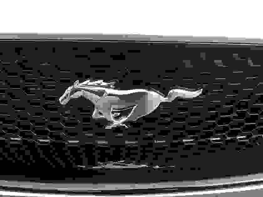 Ford Mustang Photo at-ffc7b117ca94498f9601035c9cd48d20.jpg