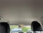 Kia Picanto Photo 41