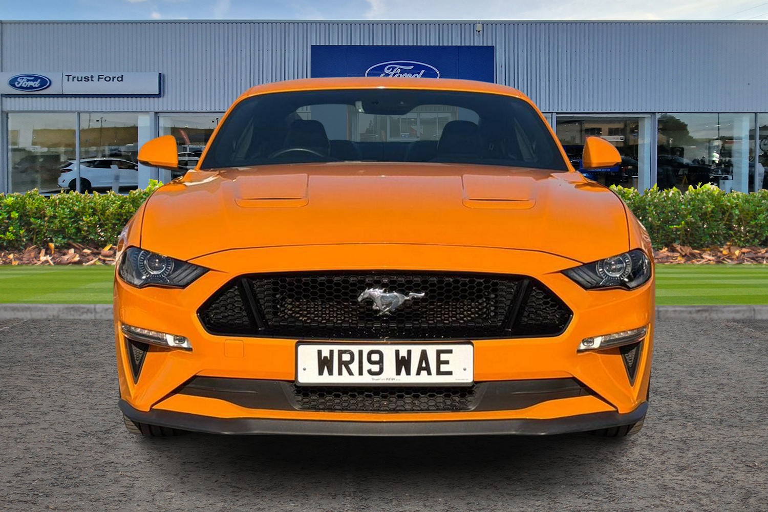 Ford MUSTANG Photo 5