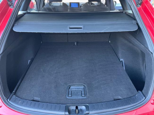 TOYOTA Corolla Photo 12