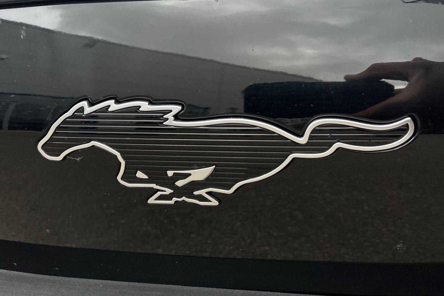 Ford MUSTANG MACH-E Photo 39