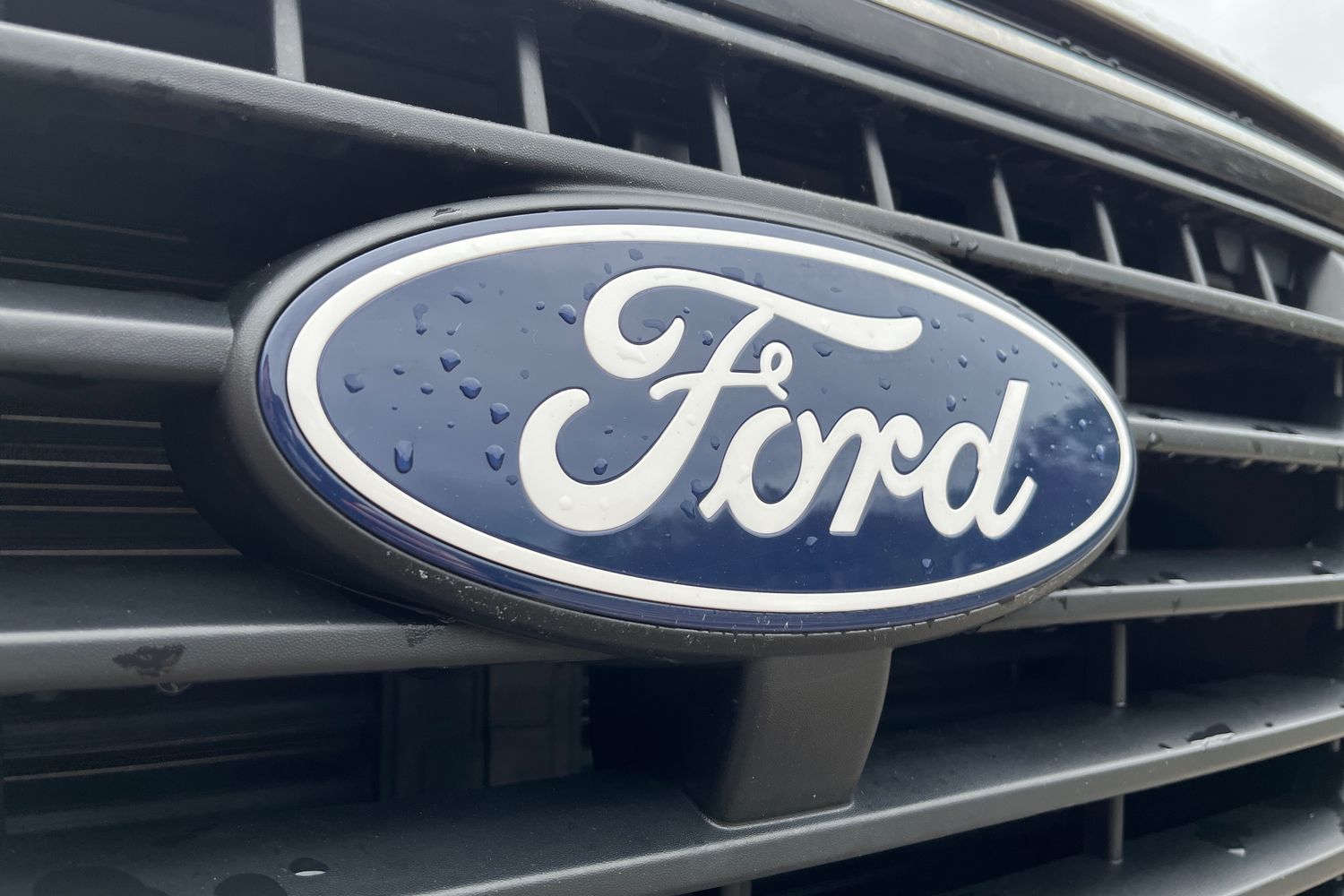 Ford TRANSIT CUSTOM Photo 18