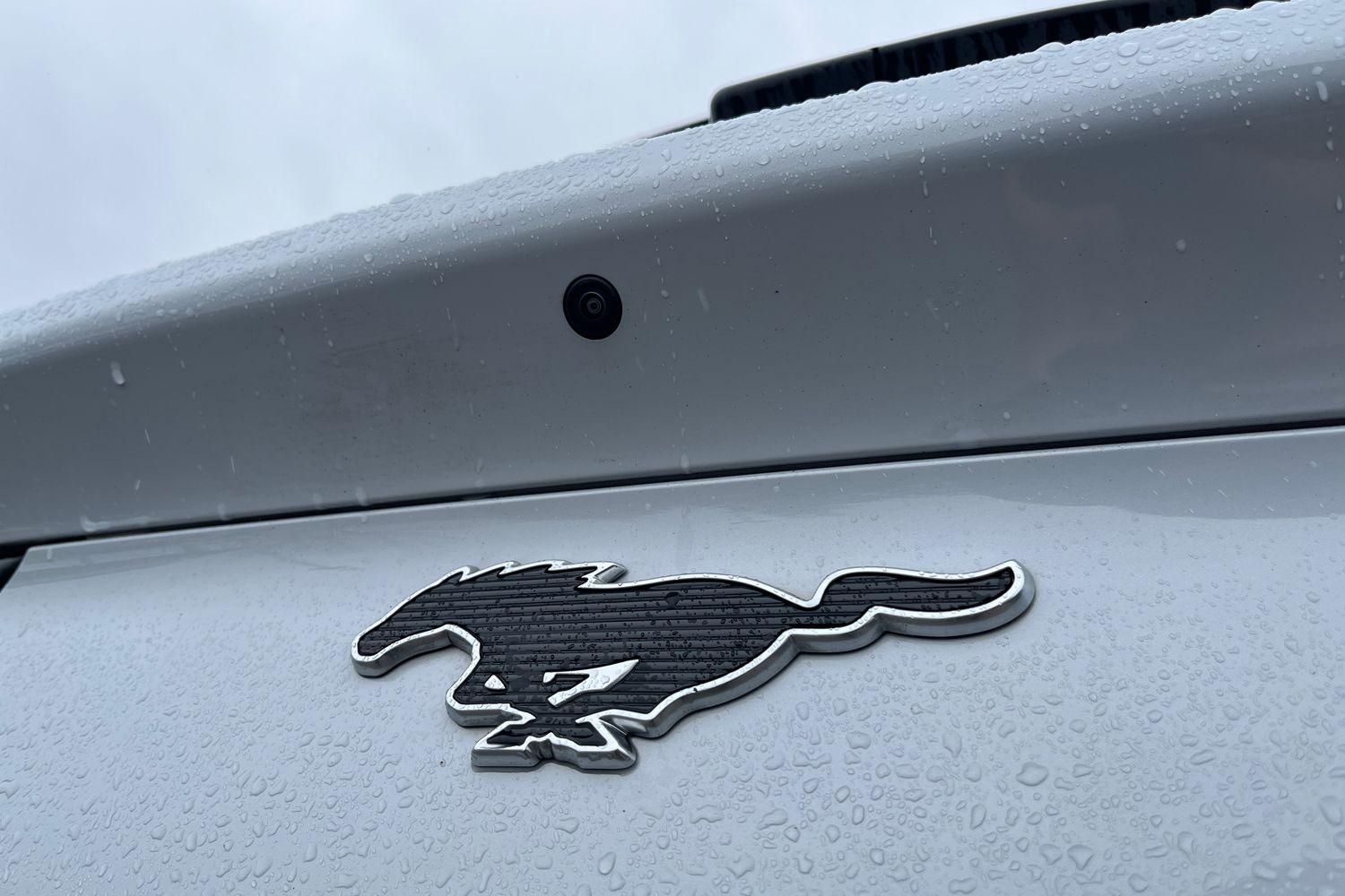 Ford Mustang Mach-E Photo 39