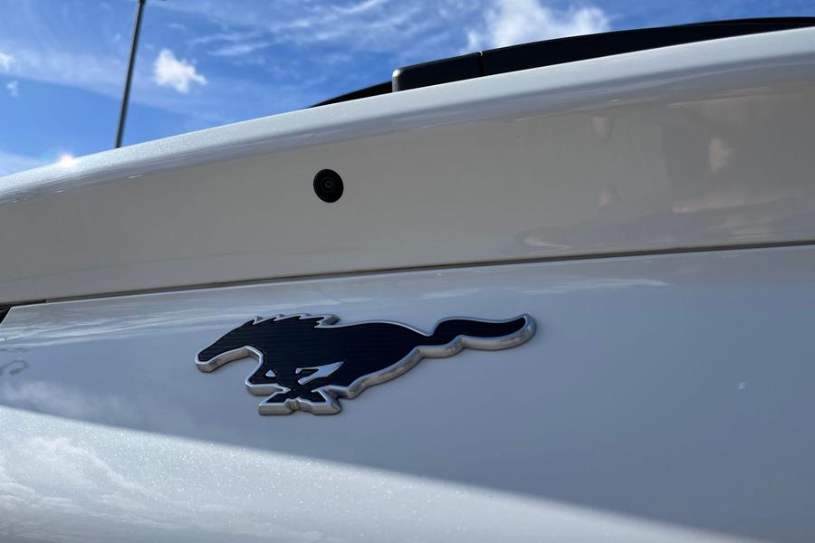 Ford Mustang Mach-E Photo autoimg-0c9543774bd34ff78fd5ac6048d9225ad6d6381e.jpg