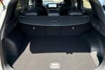 Kia Sportage Photo 12