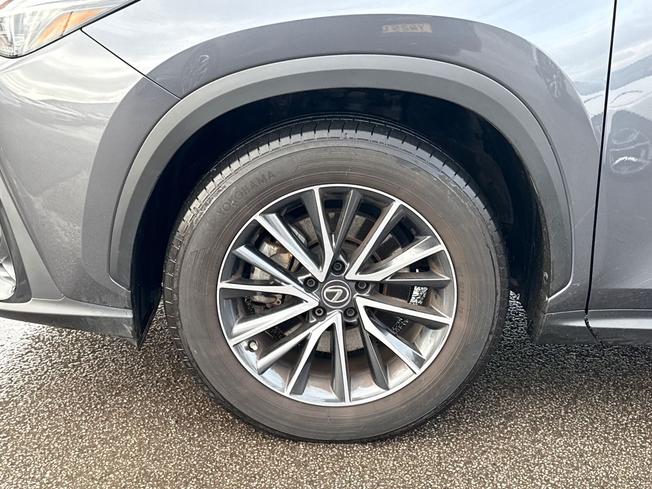 LEXUS Nx Photo 24