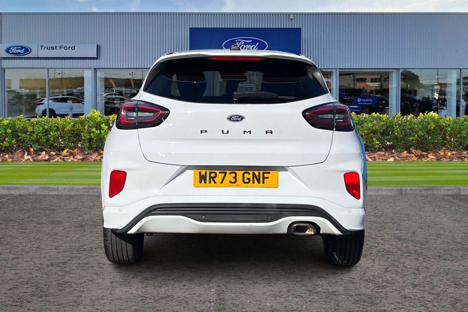 Ford PUMA Photo 6