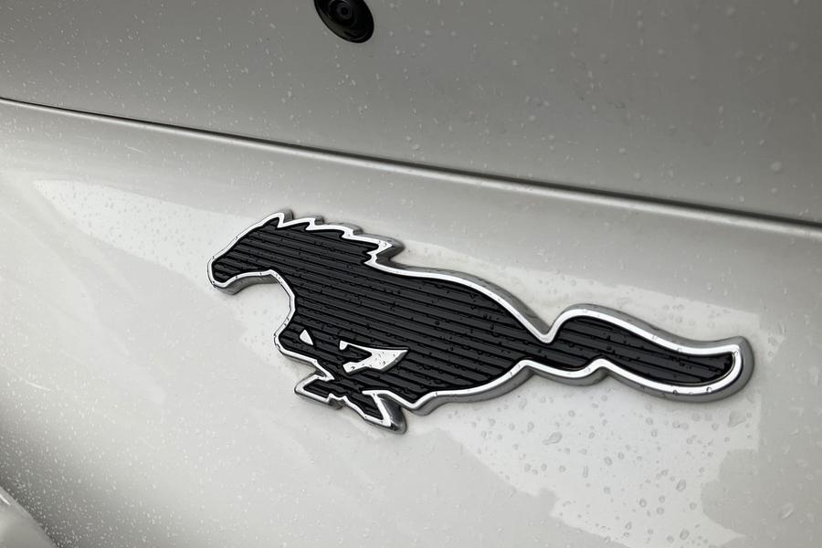 Ford MUSTANG MACH-E Photo autoimg-1d5c8cff72c9e13a3ad7634da1d7e800c151512e.jpg