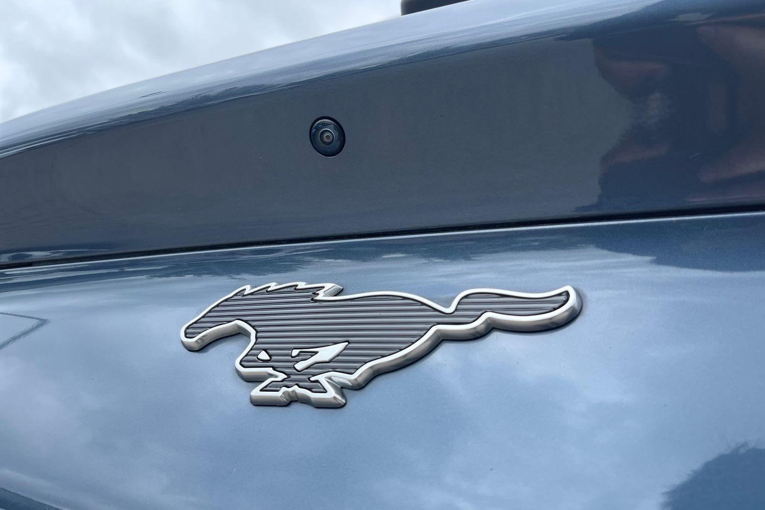 Ford Mustang Mach-E Photo 38