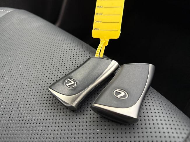LEXUS Nx Photo 48