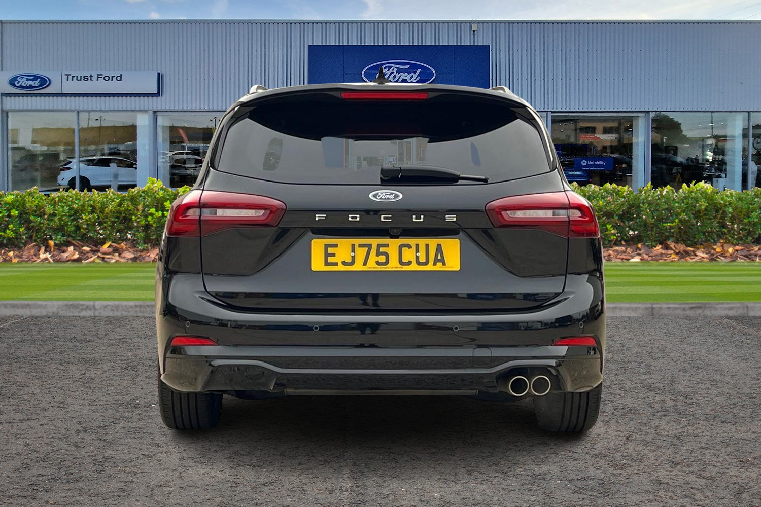 Ford Focus Photo 6