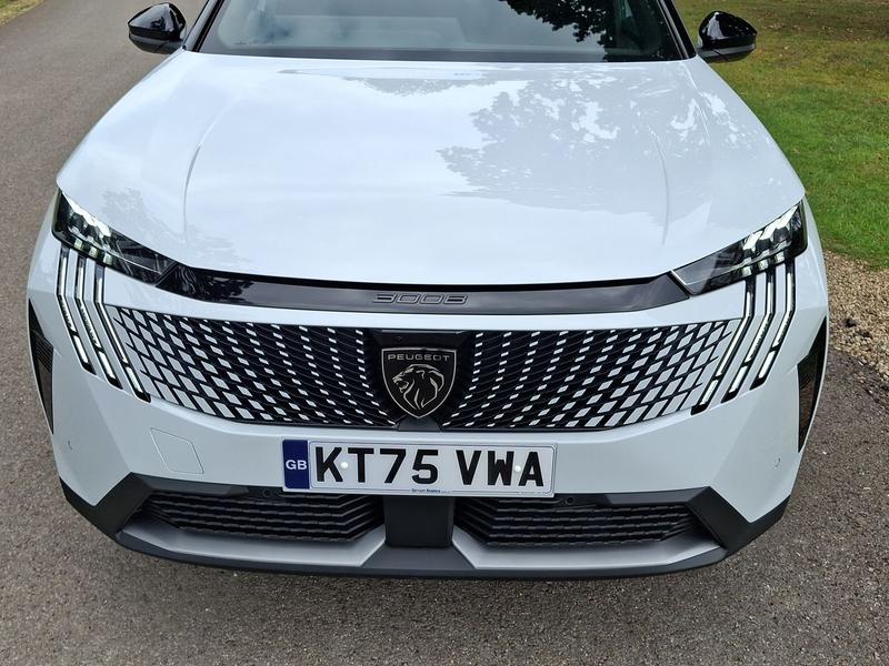 Used Peugeot 3008 KT75VWA 38