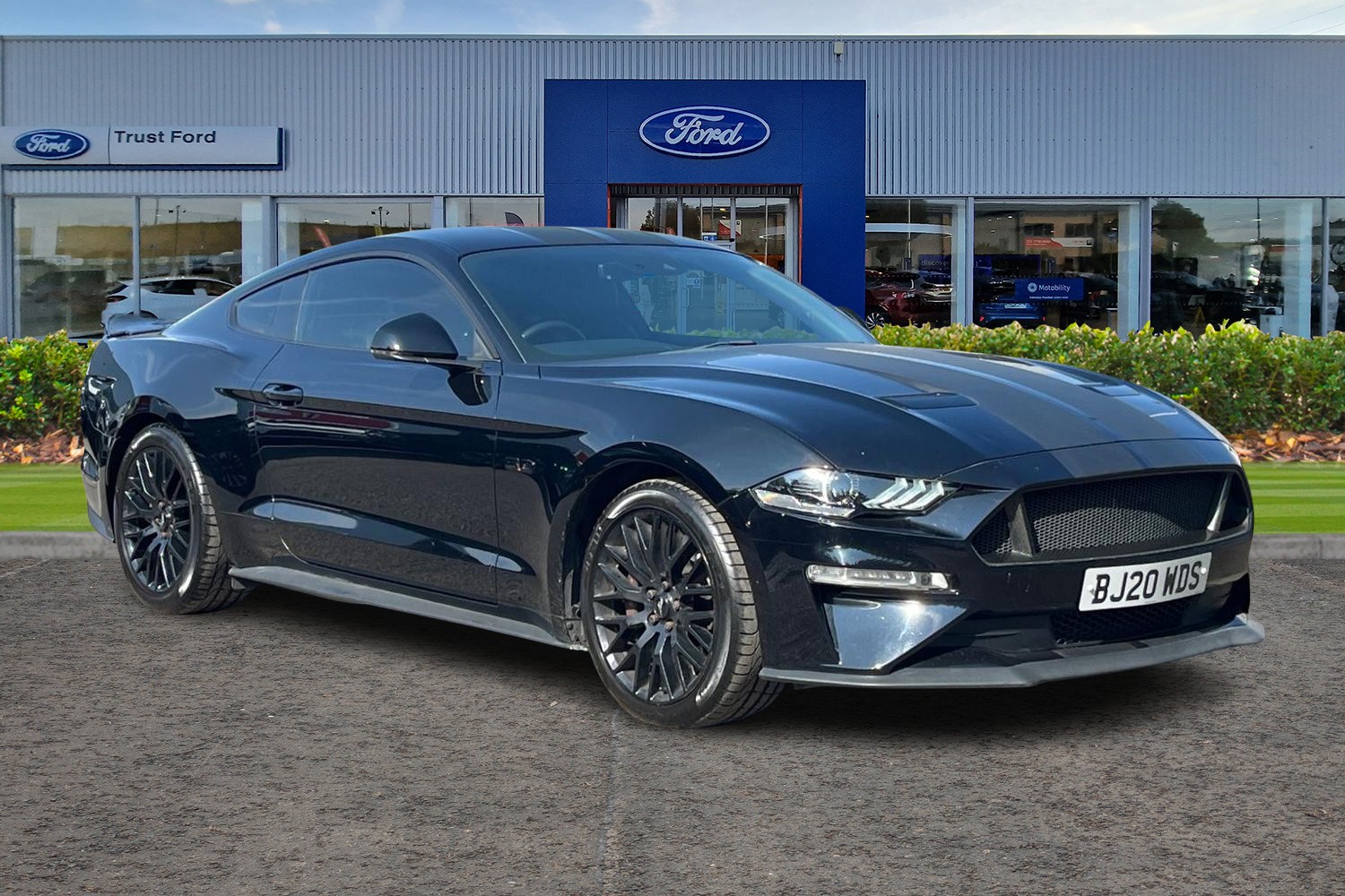 Ford MUSTANG Photo 0