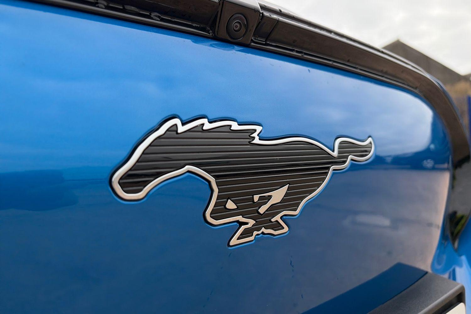 Ford Mustang Mach-E Photo 25