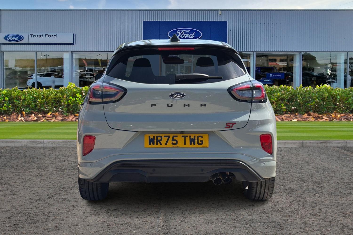 Ford Puma Photo 6