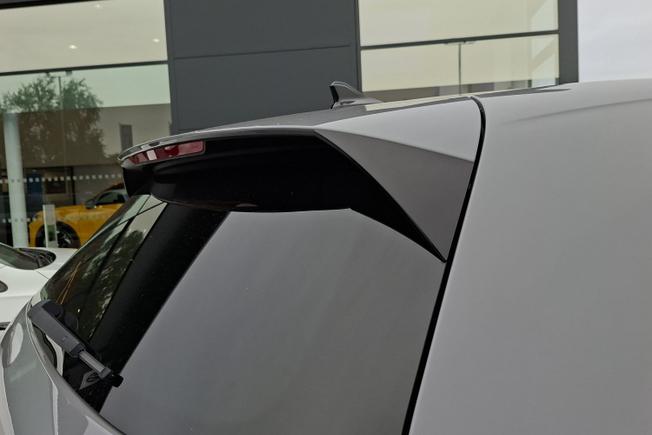 VOLKSWAGEN Golf Photo 21