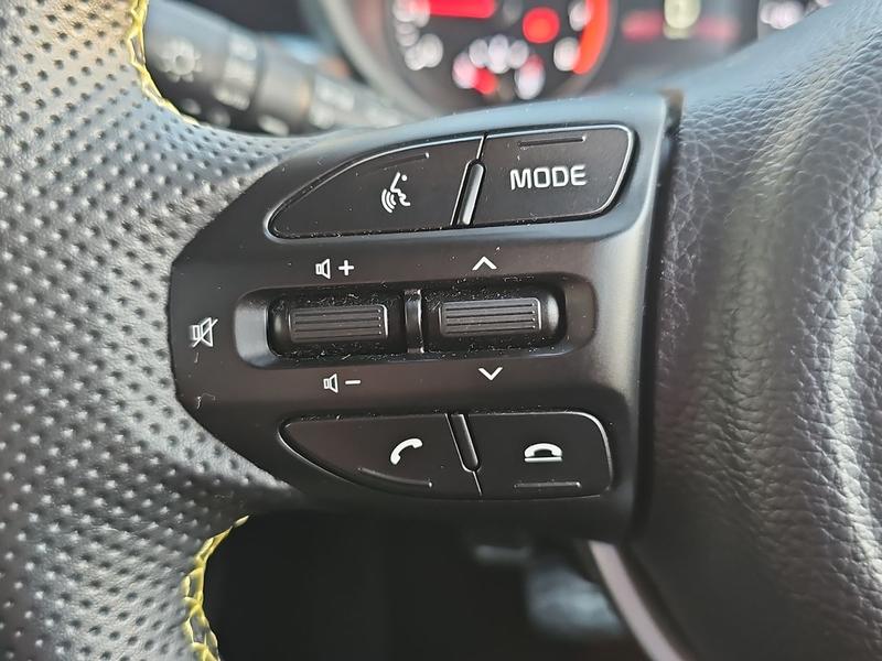 Used Kia Picanto CK72DKX 38