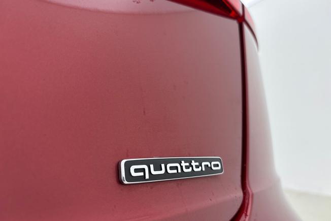 AUDI Q8 Photo 30