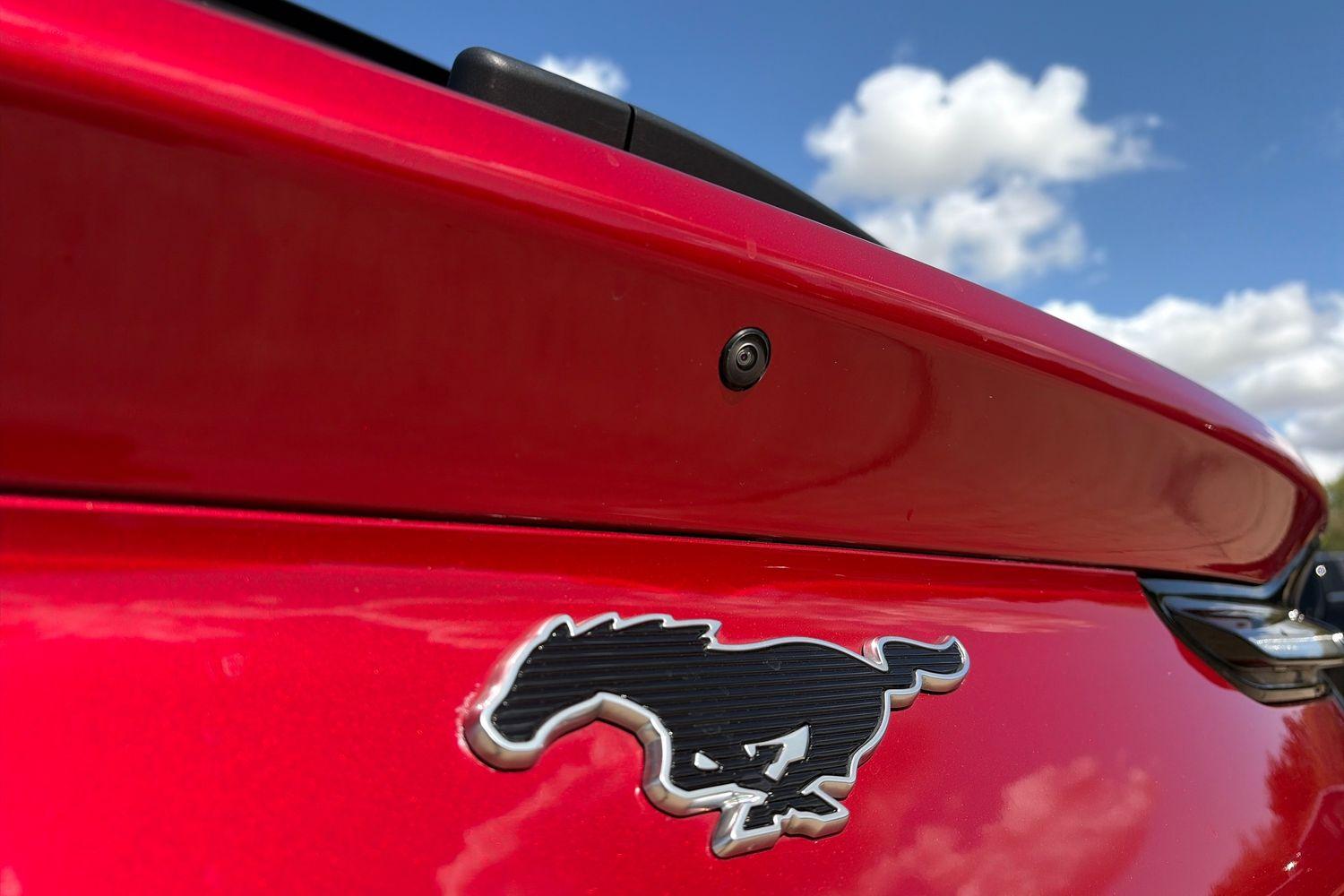 Ford Mustang Mach-E Photo 8