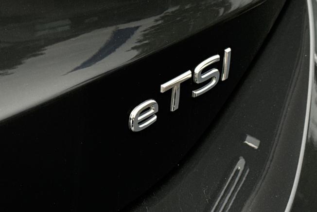 VOLKSWAGEN Tiguan Photo 49
