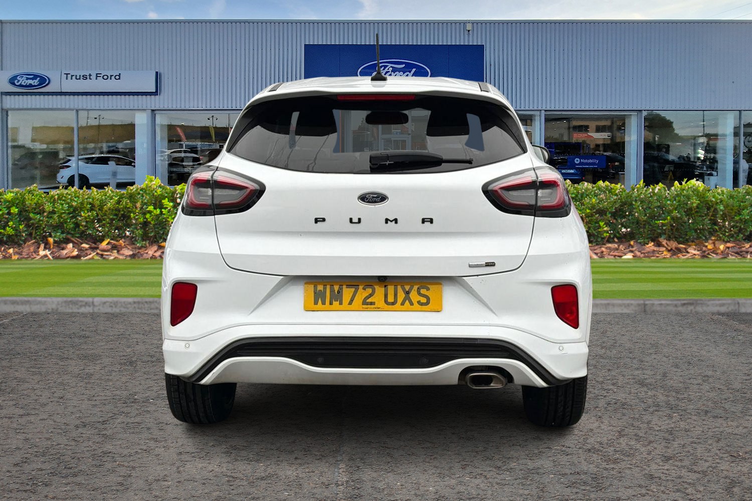 Ford PUMA Photo 6