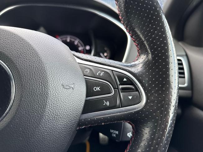Renault Megane R.S. Photo 17