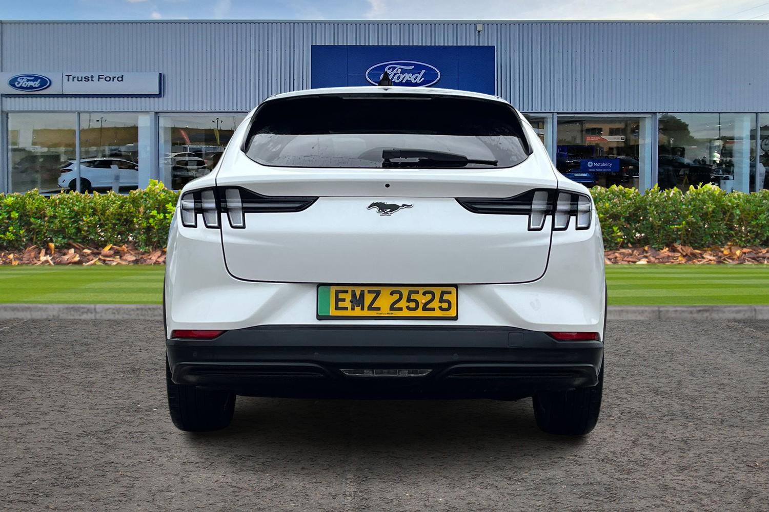 Ford MUSTANG MACH-E Photo 6