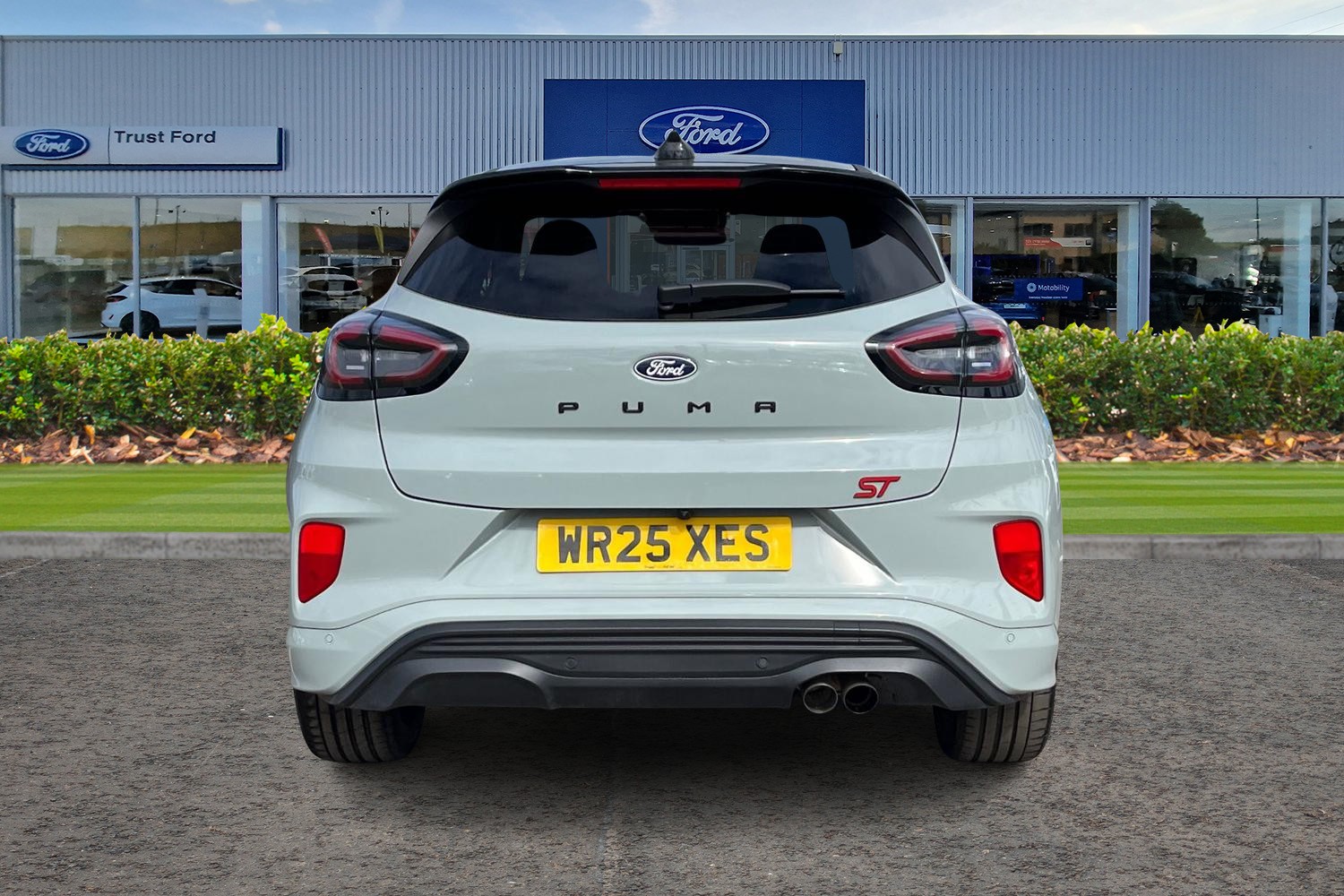 Ford Puma Photo 6
