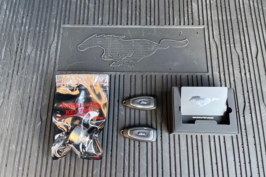Ford MUSTANG MACH-E Photo autoimg-3b69d64876591fe73e6881a6f82d2c6528d69bc4.jpg