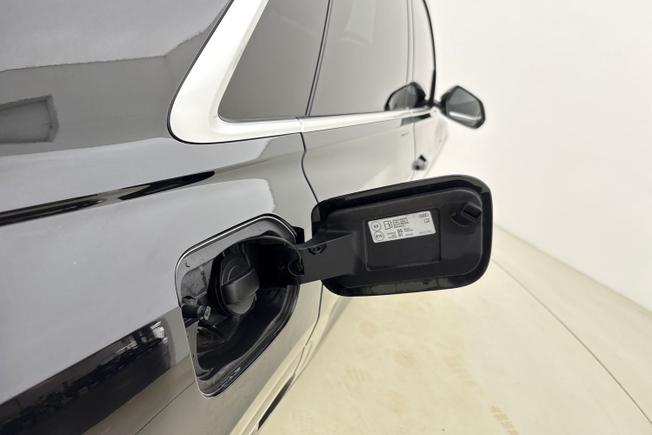 AUDI Q8 Photo 23