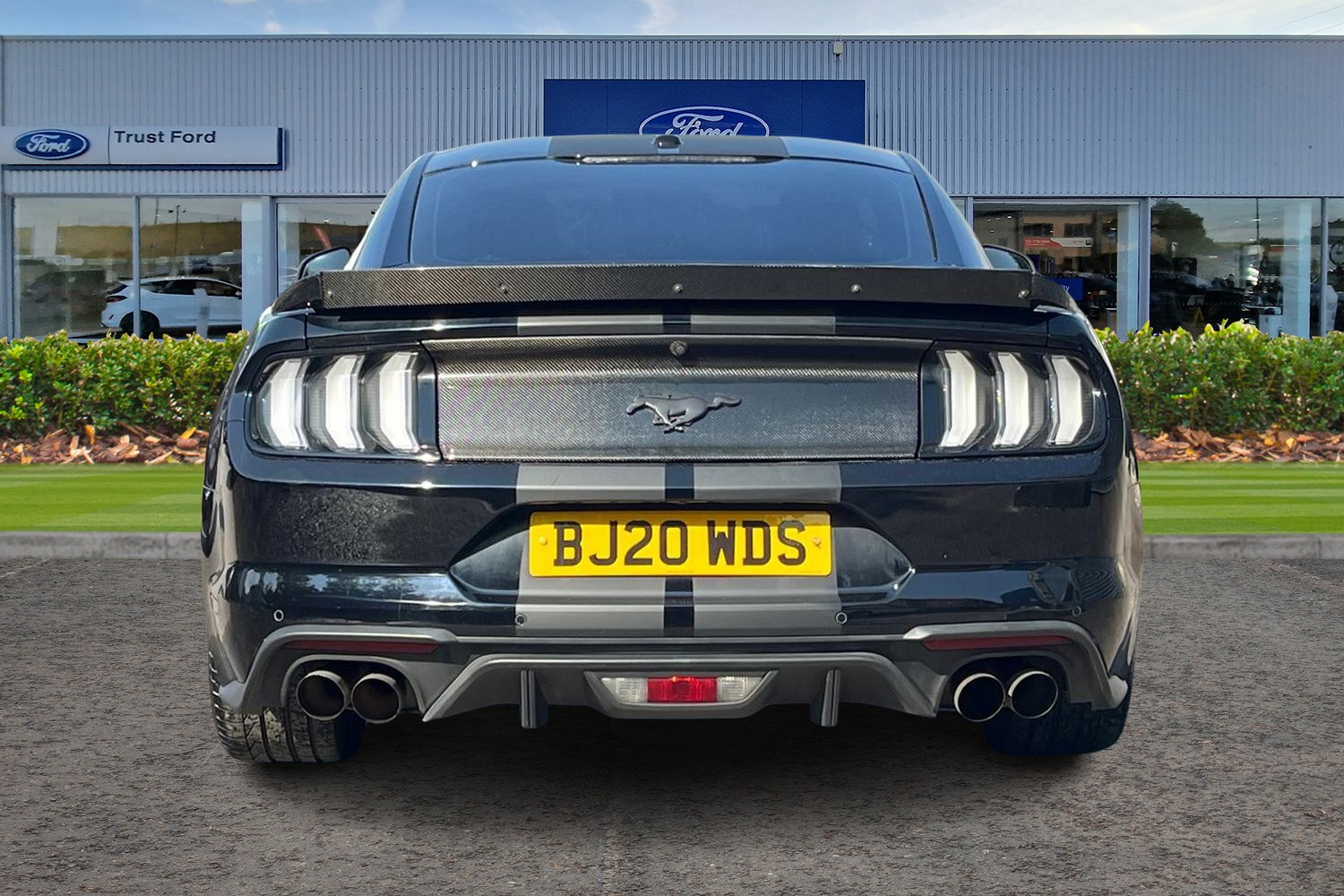 Ford MUSTANG Photo 6