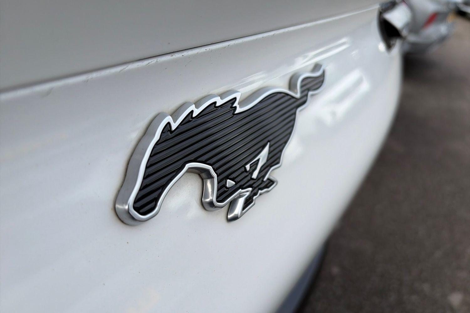 Ford MUSTANG MACH-E Photo 22
