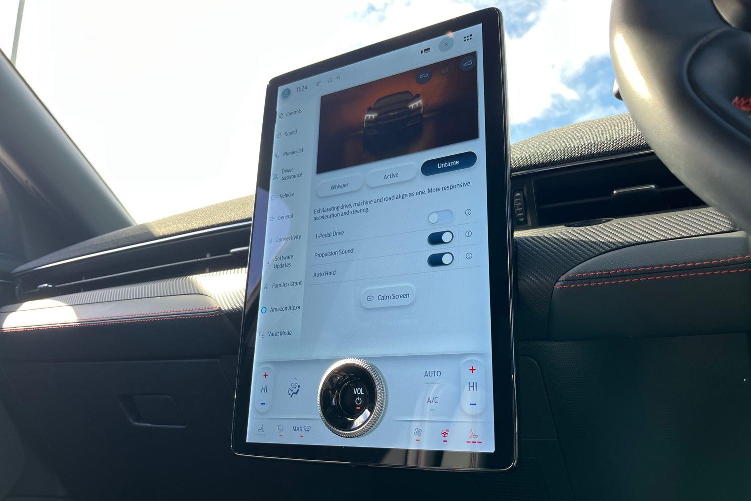 Ford Mustang Mach-E Photo 28