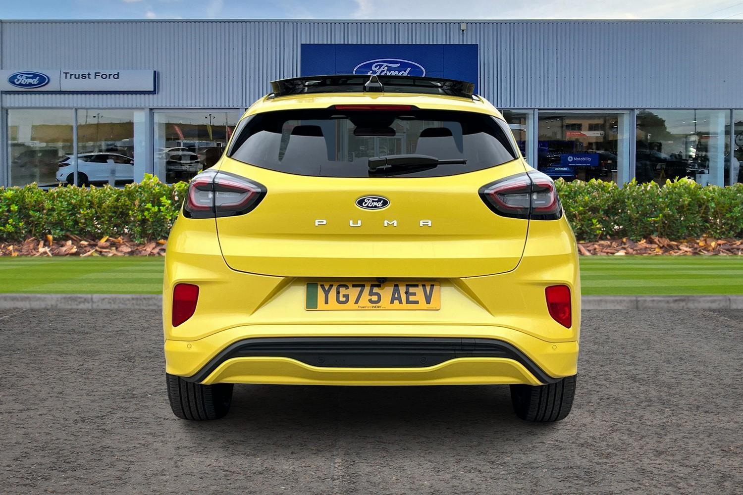 Ford PUMA Photo 6