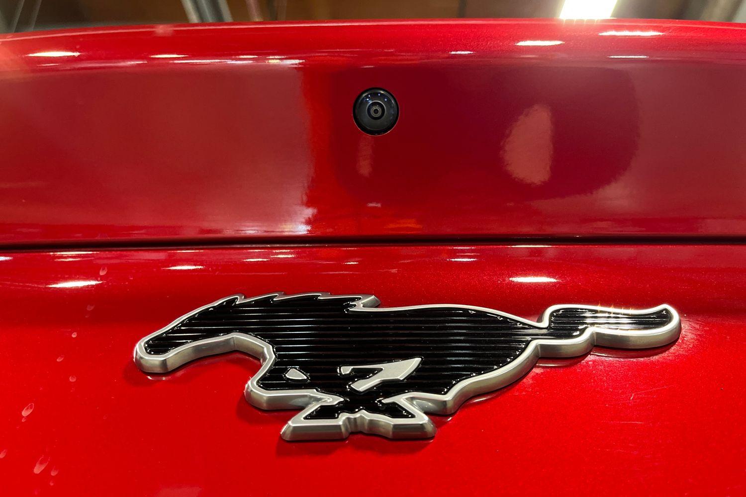 Ford Mustang Mach-E Photo 25