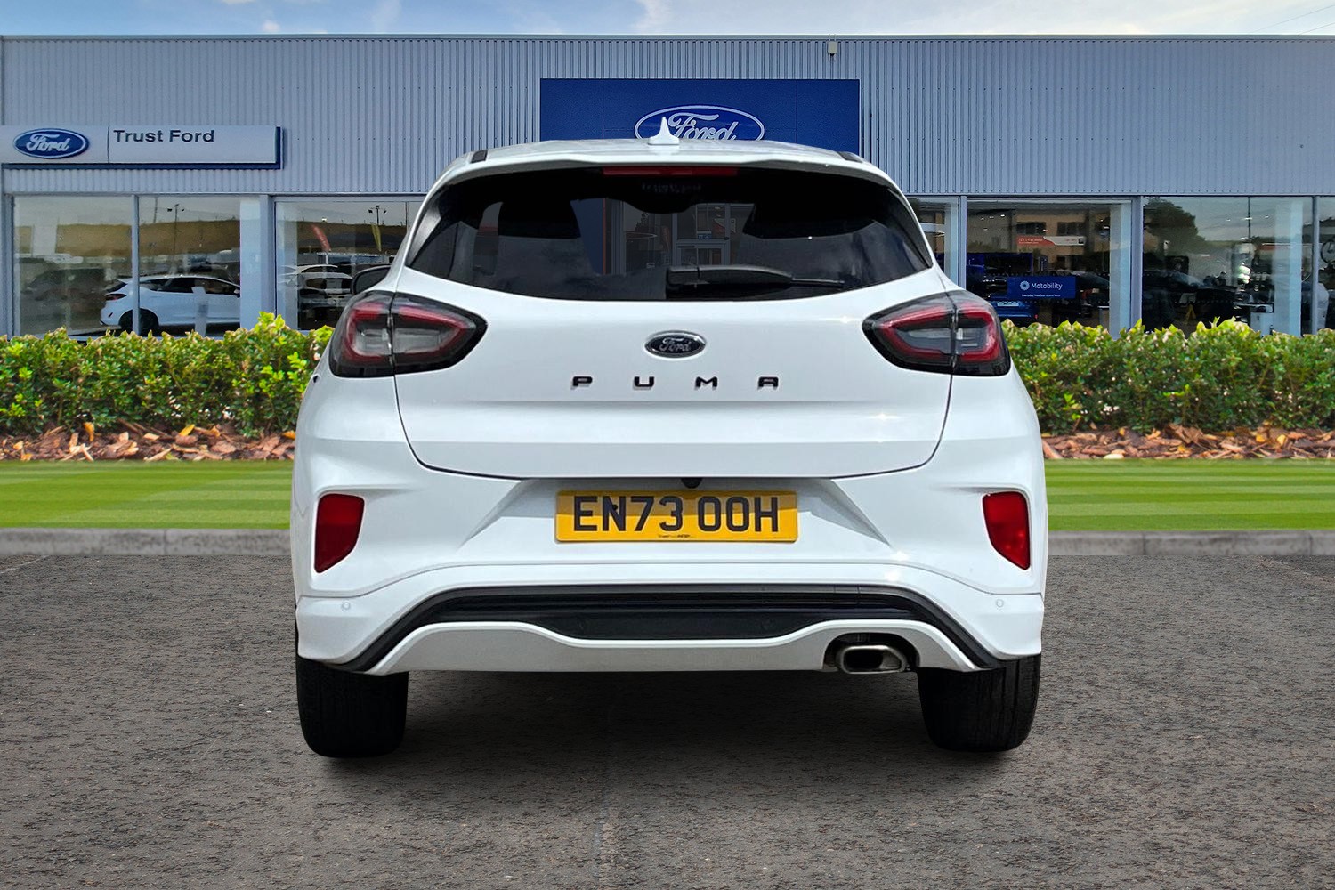 Ford Puma Photo 6
