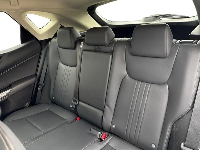 LEXUS Nx Photo 9