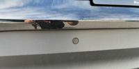 Volkswagen ID.3 Photo 37