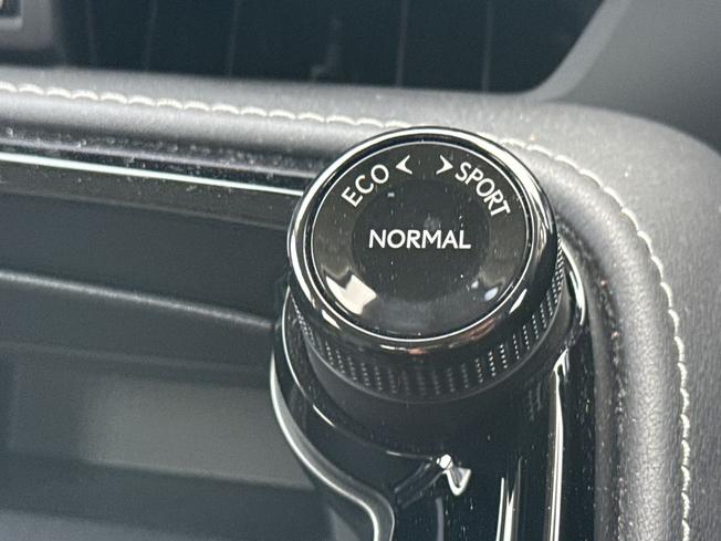 LEXUS Nx Photo 30