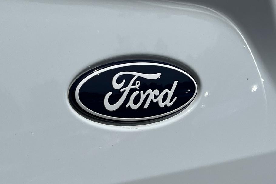 Used Ford TRANSIT CUSTOM DY73VJG 19