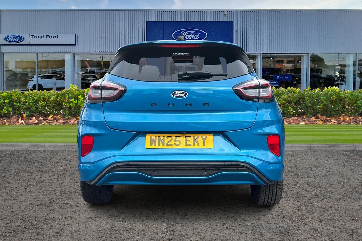 Ford PUMA Photo 6