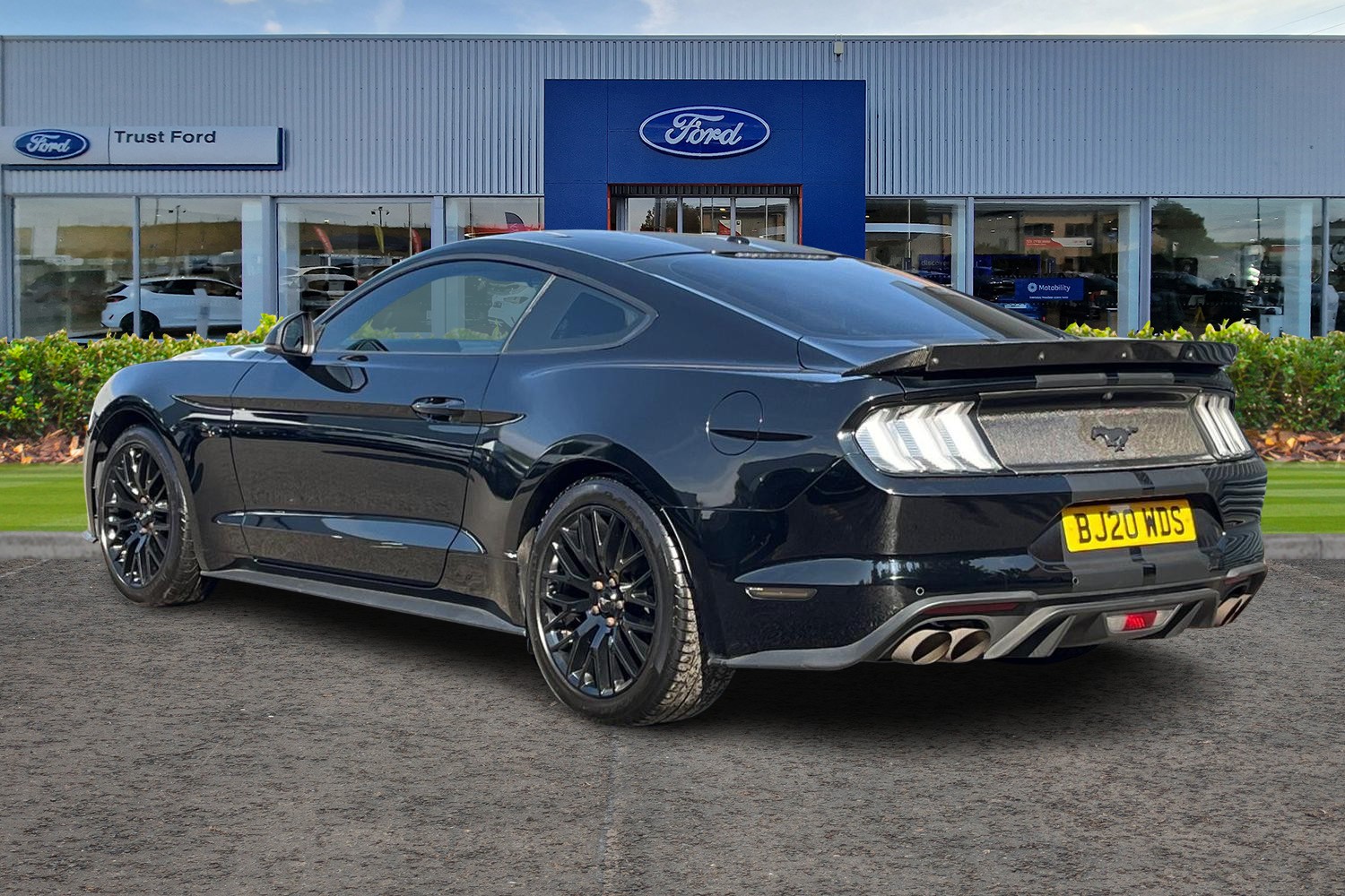 Ford MUSTANG Photo 1