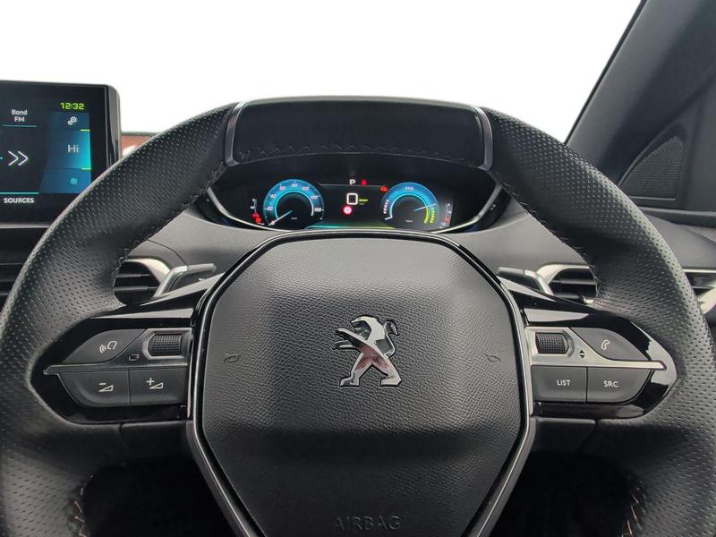 Used Peugeot 3008 LM72HCU 14