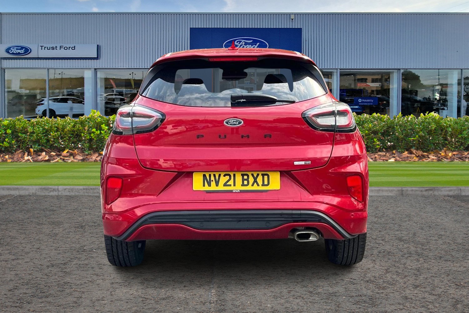 Ford Puma Photo 6