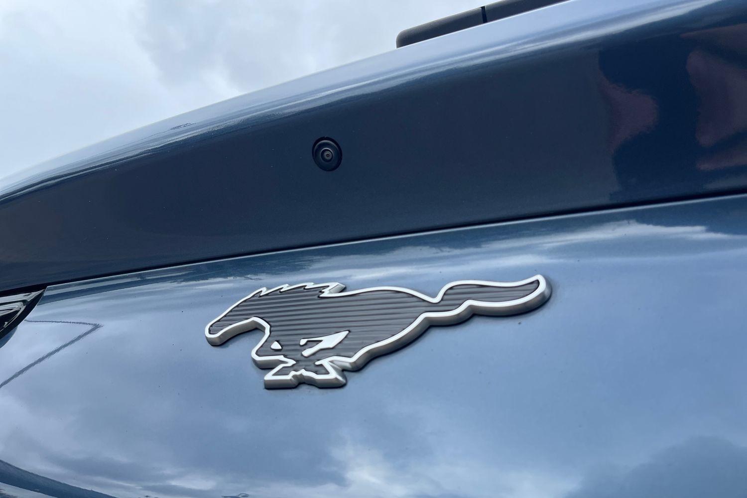 Ford Mustang Mach-E Photo 38